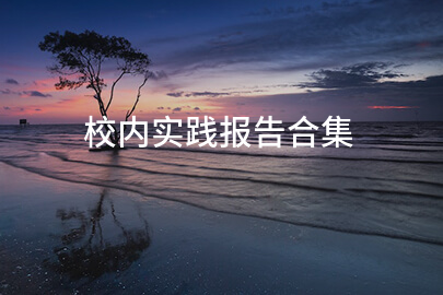 校内实践报告合集