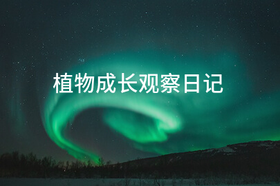 植物成长观察日记(汇总7篇)