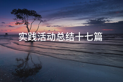 实践活动总结十七篇