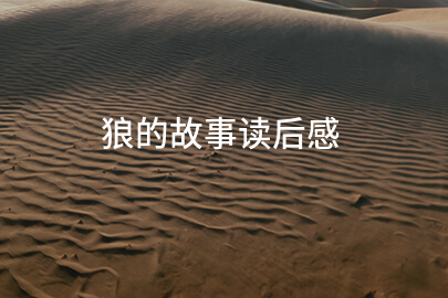 狼的故事读后感