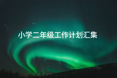 小学二年级工作计划汇集