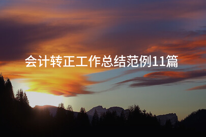 会计转正工作总结范例11篇