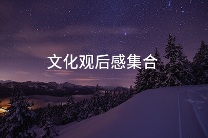 文化观后感集合