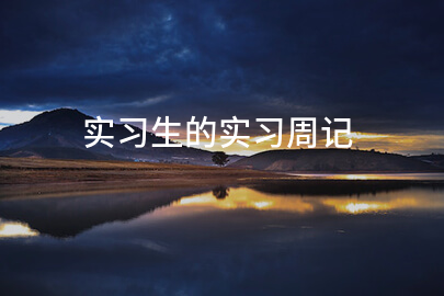 实习生的实习周记