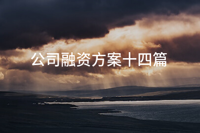公司融资方案十四篇