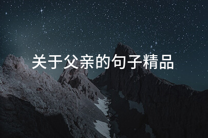关于父亲的句子精品