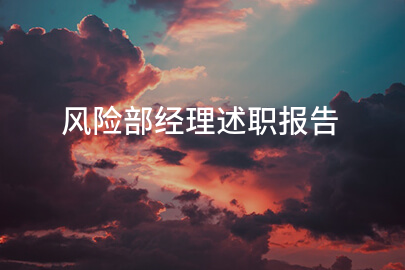 风险部经理述职报告