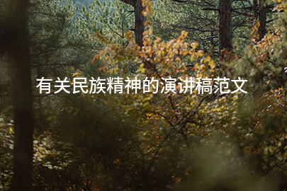 有关民族精神的演讲稿范文