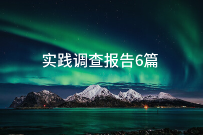 实践调查报告6篇