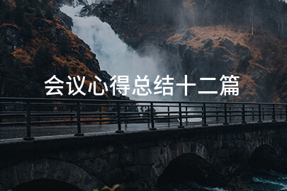会议心得总结十二篇