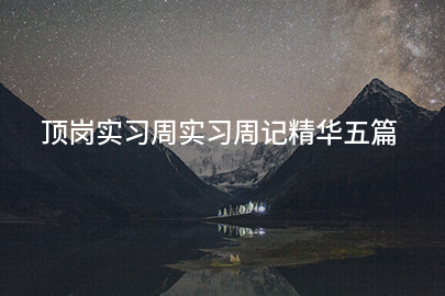 顶岗实习周实习周记精华五篇