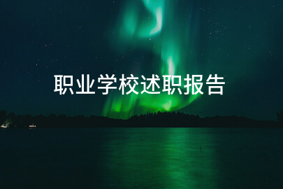 职业学校述职报告