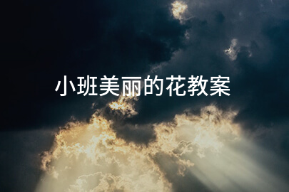 小班美丽的花教案