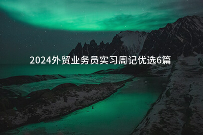 2024外贸业务员实习周记优选6篇
