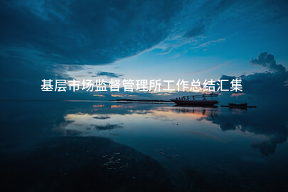 基层市场监督管理所工作总结汇集
