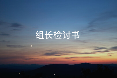 组长检讨书