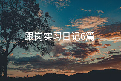 跟岗实习日记6篇