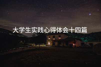 大学生实践心得体会十四篇