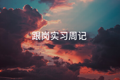 跟岗实习周记(经典十五篇)