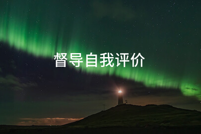 督导自我评价