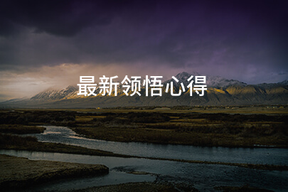 最新领悟心得