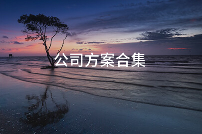 公司方案合集