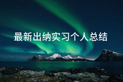 最新出纳实习个人总结