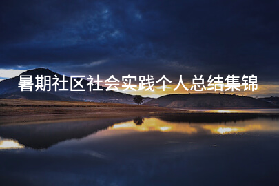 暑期社区社会实践个人总结集锦