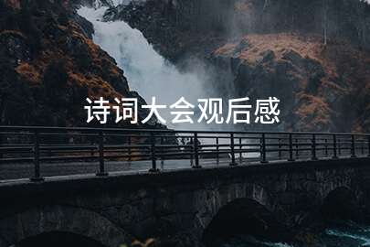 诗词大会观后感