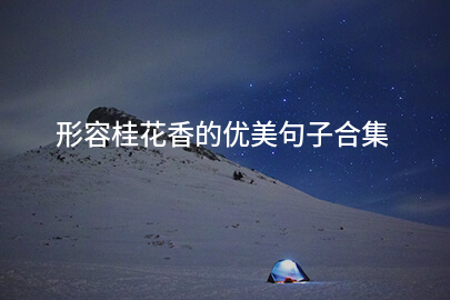 形容桂花香的优美句子合集