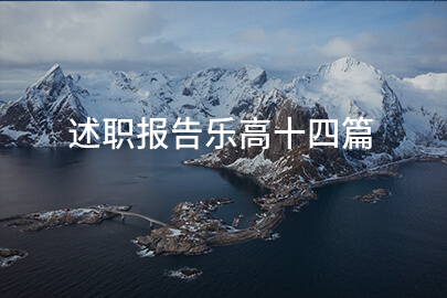 述职报告乐高十四篇