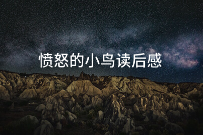愤怒的小鸟读后感