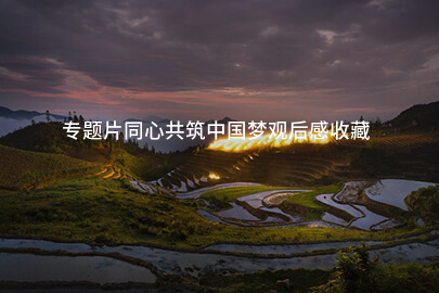 专题片同心共筑中国梦观后感收藏